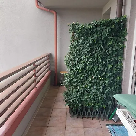 Apartma Petja * Moravske Toplice