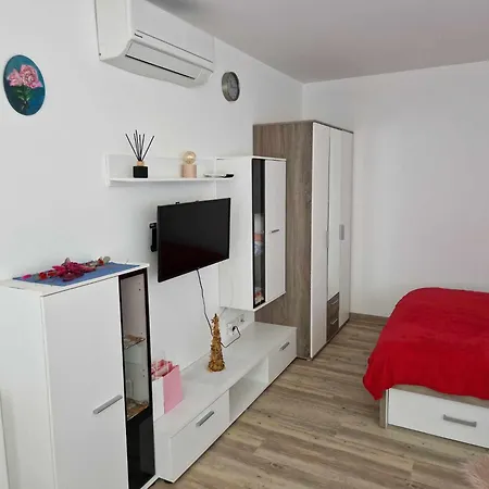 Apartma Petja Apartment *