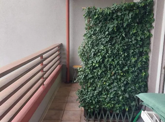 Apartma Petja * Moravske Toplice